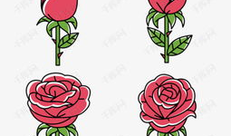 玫瑰动漫,绽放青春，描绘梦想的动漫世界